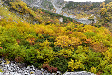 絶景紅葉　錦秋の北アルプス・涸沢