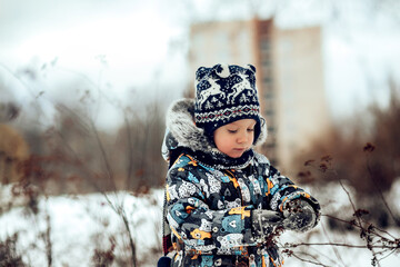 Cute little Caucasian boy holding and exploring dry branch of bush on winter day in park. Kid wears...