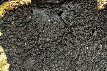hardened bitumen layer on concrete