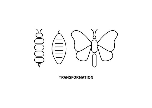 Transformation Concept. Caterpillar, Butterfly, And Cocoon Stages