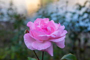 Autumn in Douro Valley, Portugal