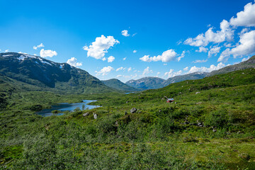Fototapeta na wymiar Small lake in the mountains of Norway