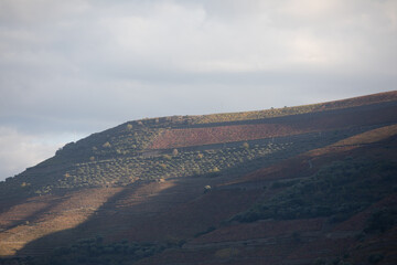 Autumn in Douro Valley, Portugal