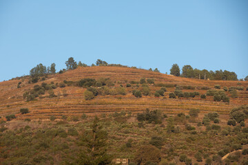 Autumn in Douro Valley, Portugal