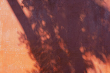 Abstract shadow of a tree leaf on red cement wall