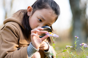 虫眼鏡で小さな花を見る少女