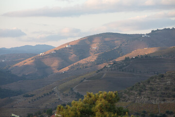 Fototapeta premium Autumn in Douro Valley, Portugal