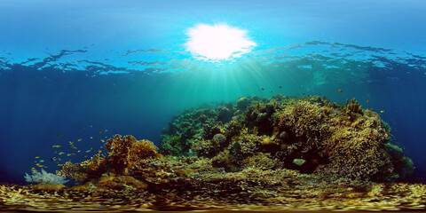 Fototapeta na wymiar Reef underwater tropical coral garden. Underwater sea fish. Philippines. 360 panorama VR.