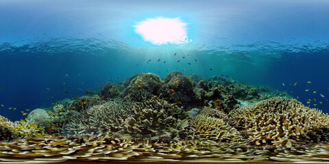 Coral Reef and Fishes Underwater. Underwater fish reef marine. Tropical colorful underwater seascape with coral reef. Philippines. 360 panorama VR