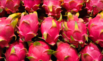 Group of dragon fruit or pitaya fruit in basket at super market