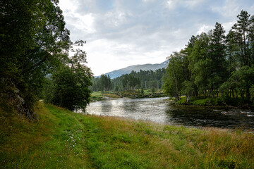Flowing river with trees and a meadow