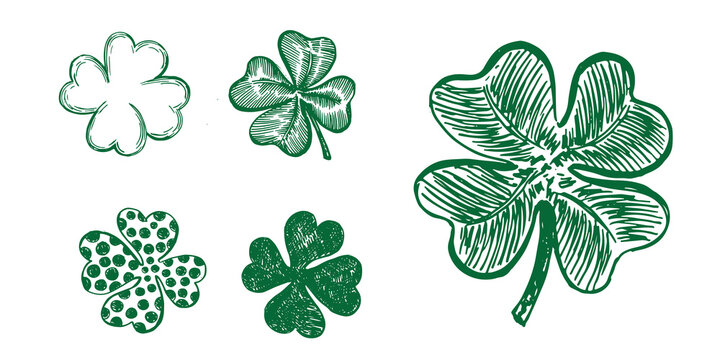 Clover set. Patrick's day. Hand drawn illustration.	
