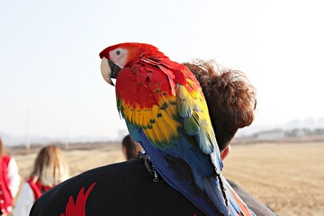 한국공원에서만난앵무새동호회회원들과같이찍은사잔입니다