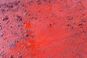 Close-up of red water polluted with iron ore waste