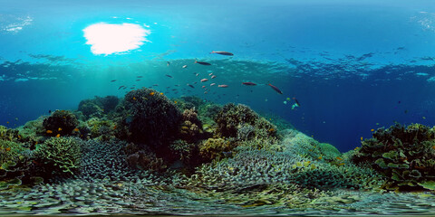 Naklejka na ściany i meble Tropical coral reef seascape with fishes, hard and soft corals. 360 panorama VR