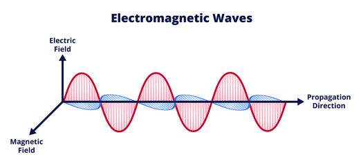 Vector scientific illustration of electromagnetic wave consisting of electric and magnetic fields and propagation isolated on a white background. Wavelength, amplitude, frequency. Radio waves, light. - obrazy, fototapety, plakaty