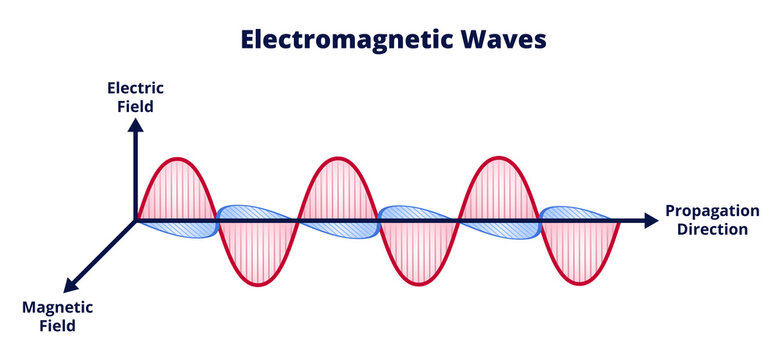 Vector scientific illustration of electromagnetic wave consisting of electric and magnetic fields and propagation isolated on a white background. Wavelength, amplitude, frequency. Radio waves, light.