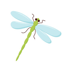 Vector cartoon Dragonfly character. Funny dragon fly icon. Vector illustration