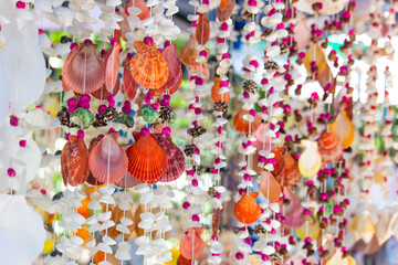 Curtains from sea beautiful colorful shells from the sea.