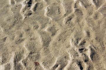 Structures in the sand in back-lighting