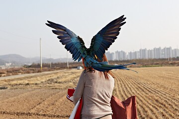 한국공원에서만난앵무새동호회회원들과같이찍은사잔입니다