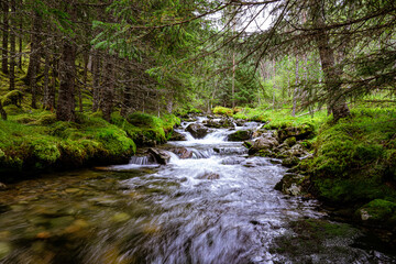 Obraz premium Stream of a creek with cascades