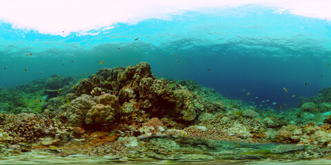 Fototapeta na wymiar Tropical coral reef. Underwater fishes and corals. Underwater fish reef marine. Philippines. Virtual Reality 360.