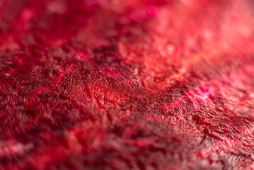 Macro background of beetroot sliced on white background