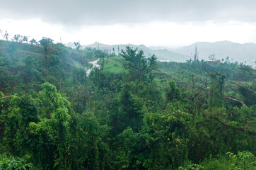 mountains and cloud forest of jayuya