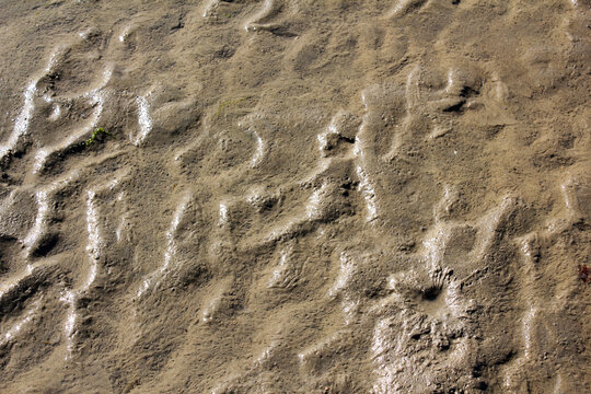 Structures in the sand in back-lighting