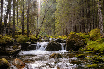 Fototapeta na wymiar Calm scenery of a creek in a norwegian forest