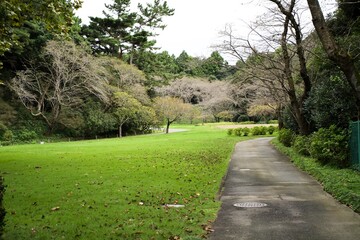 Fototapeta na wymiar The view of wide garden in Japan.