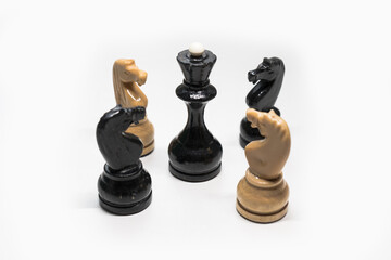 chess pieces knight and Queen on a white background