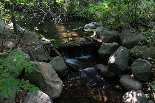 Beautiful Small Stream At Prospect Park In Brooklyn New York During Summer