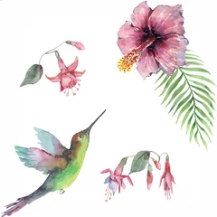 Raamstickers Vlinders Pattern with a flying bird hummingbird, pink fuchsia flowers, red hibiscus, green palm leaves. Isolated elements on a white background. Design for textile, background, wallpaper, print. Watercolor.