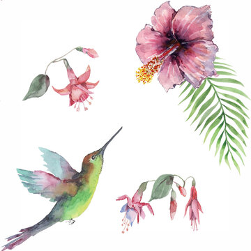 Pattern with a flying bird hummingbird, pink fuchsia flowers, red hibiscus, green palm leaves. Isolated elements on a white background. Design for textile, background, wallpaper, print. Watercolor.