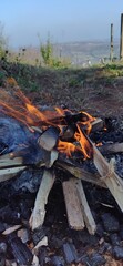 fire in the forest