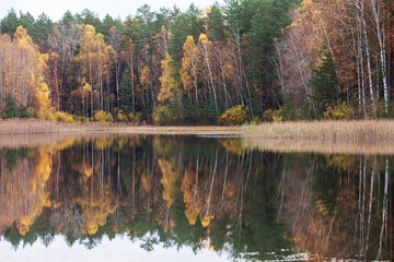 Beautiful autumn landscape on the lake, bright trees reflection in water. Late Autumn time