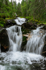 Naklejka na ściany i meble Soft waterfall in a green forest