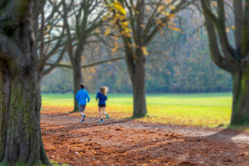 Fototapeta premium a couple jogging trough a parkway, blurred shot with tilt-shift effect, autumn colors