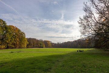 Park in Cologne with trees and green meadow, red autumn foliage