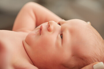 cute newborn portrait