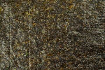 Nori sheet background. Sushi, menu, recipe, seaweed, iodine concept.