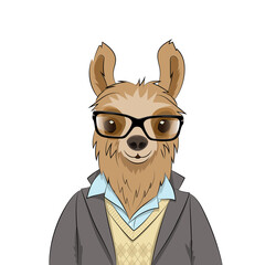 Hipster llama with glasses on a white background. Vector illustration. © Elena