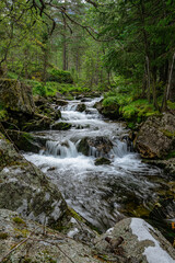 Fototapeta na wymiar Stream of a creek with cascades