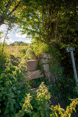 Public footpath, going over a stile through a Cornish hedge