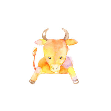 雄牛 Images Browse 3 531 Stock Photos Vectors And Video Adobe Stock