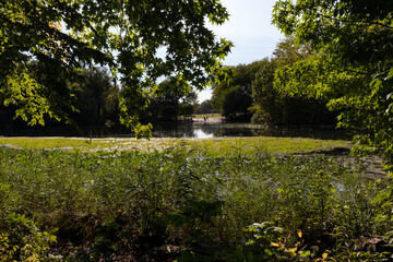 Obraz premium Pond at Prospect Park in Brooklyn New York during Summer with Green Trees and Plants