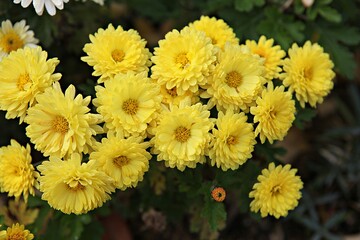 한국가을공우ㅏㄴ의풍경입니다