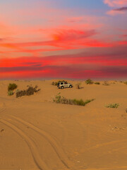 Fototapeta na wymiar desert safari tire prints in sand.